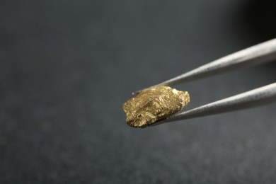 Photo of Tweezer with shiny gold nugget on grey background, closeup. Space for text