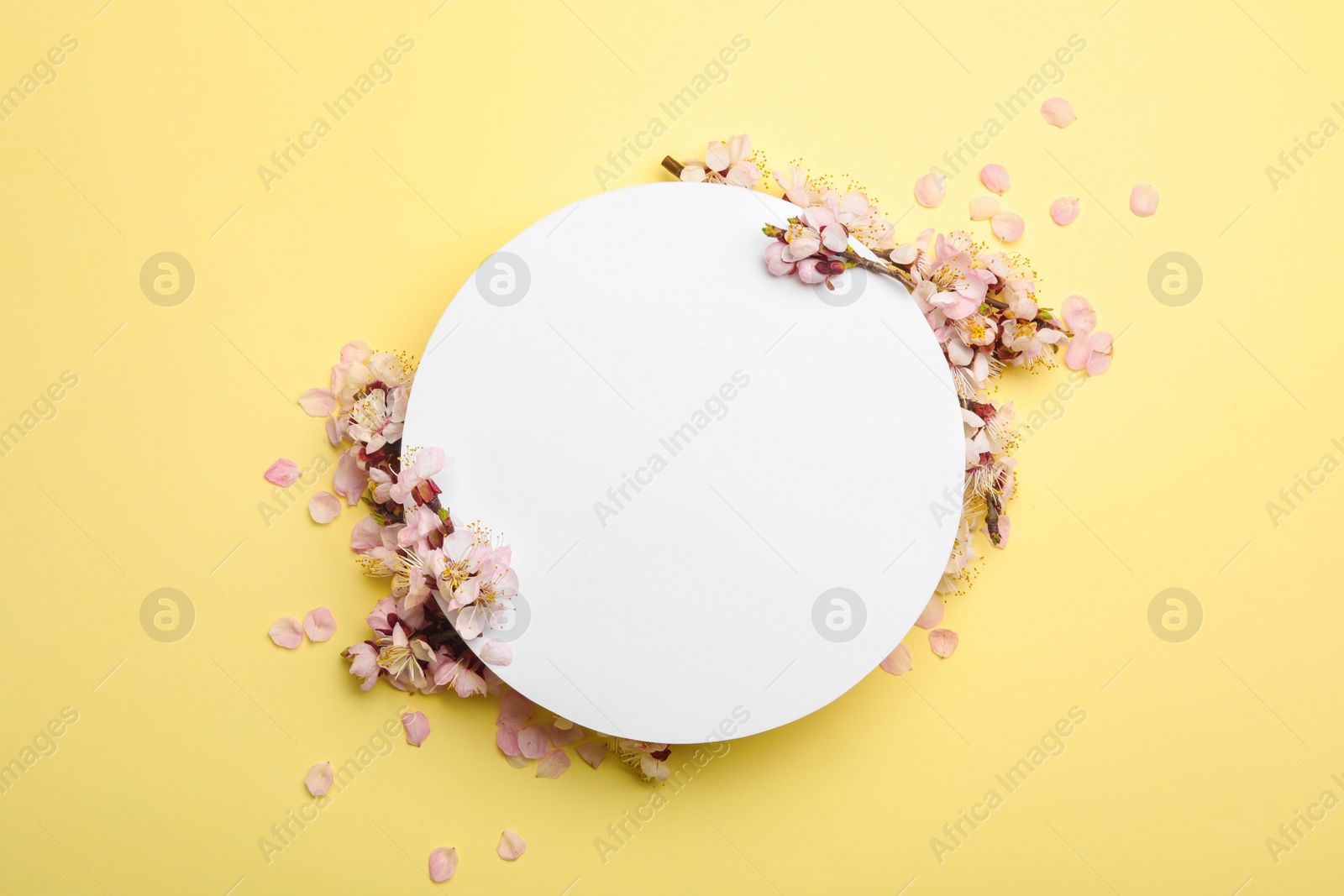 Photo of Beautiful fresh spring flowers and card on color background, flat lay. Space for text