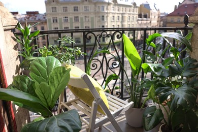 Photo of Relaxing atmosphere. Stylish chair with pillow surrounded by beautiful houseplants on balcony