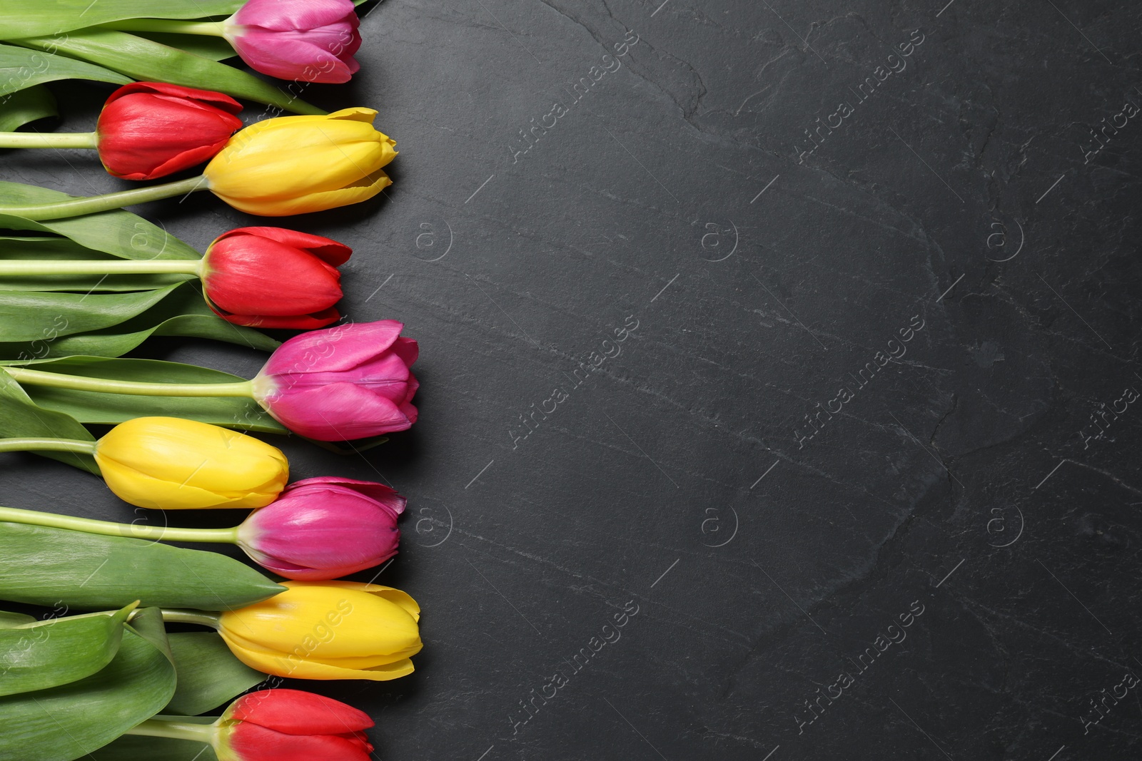 Photo of Beautiful colorful tulip flowers on black table, flat lay. Space for text