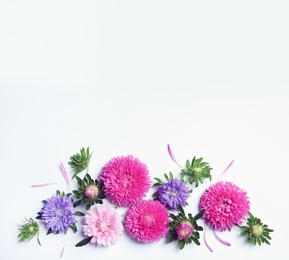 Photo of Beautiful aster flowers on white background, top view. Space for text