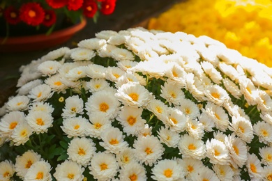 Photo of Beautiful fresh bouquet of colorful chrysanthemum flowers