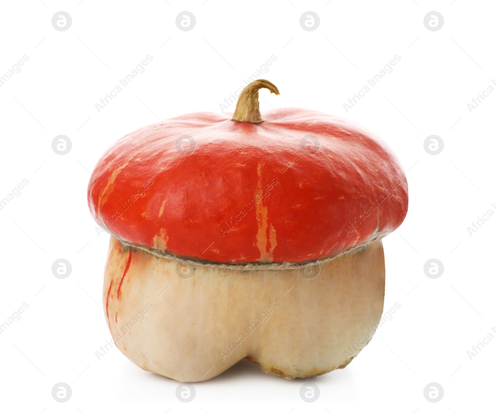 Photo of Fresh raw pumpkin isolated on white. Organic plant