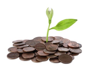 Photo of Pile of coins and green plant on white background. Successful investment