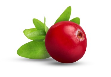 Image of One fresh ripe cranberry with leaves isolated on white