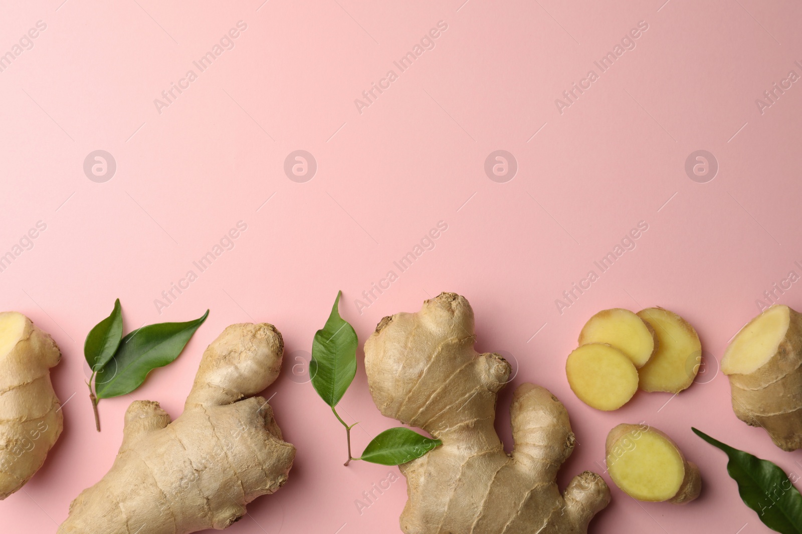 Photo of Fresh ginger with green leaves on pale pink background, flat lay. Space for text