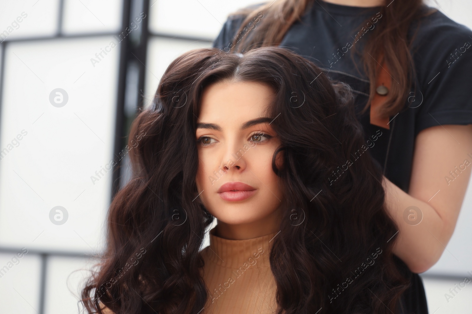 Photo of Hair styling. Professional hairdresser working with client indoors, closeup