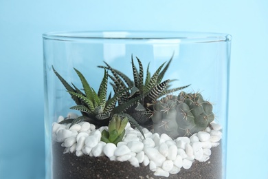 Photo of Glass florarium with different succulents on color background, closeup