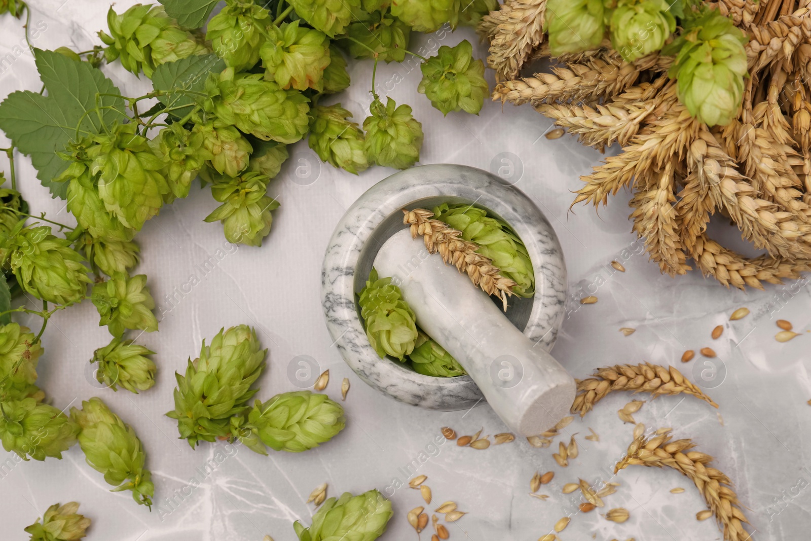 Photo of Mortar with pestle, fresh hops and ears of wheat on light grey marble table, flat lay