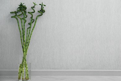 Photo of Vase with beautiful green bamboo stems on floor indoors