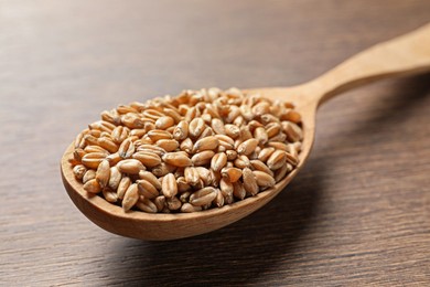 Photo of Wheat grains in spoon on wooden table, closeup