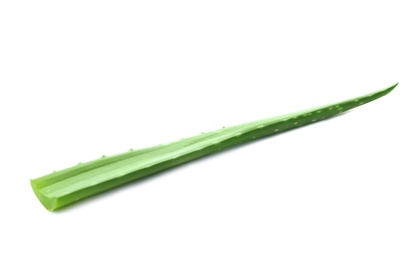 Photo of Aloe vera leaf on white background