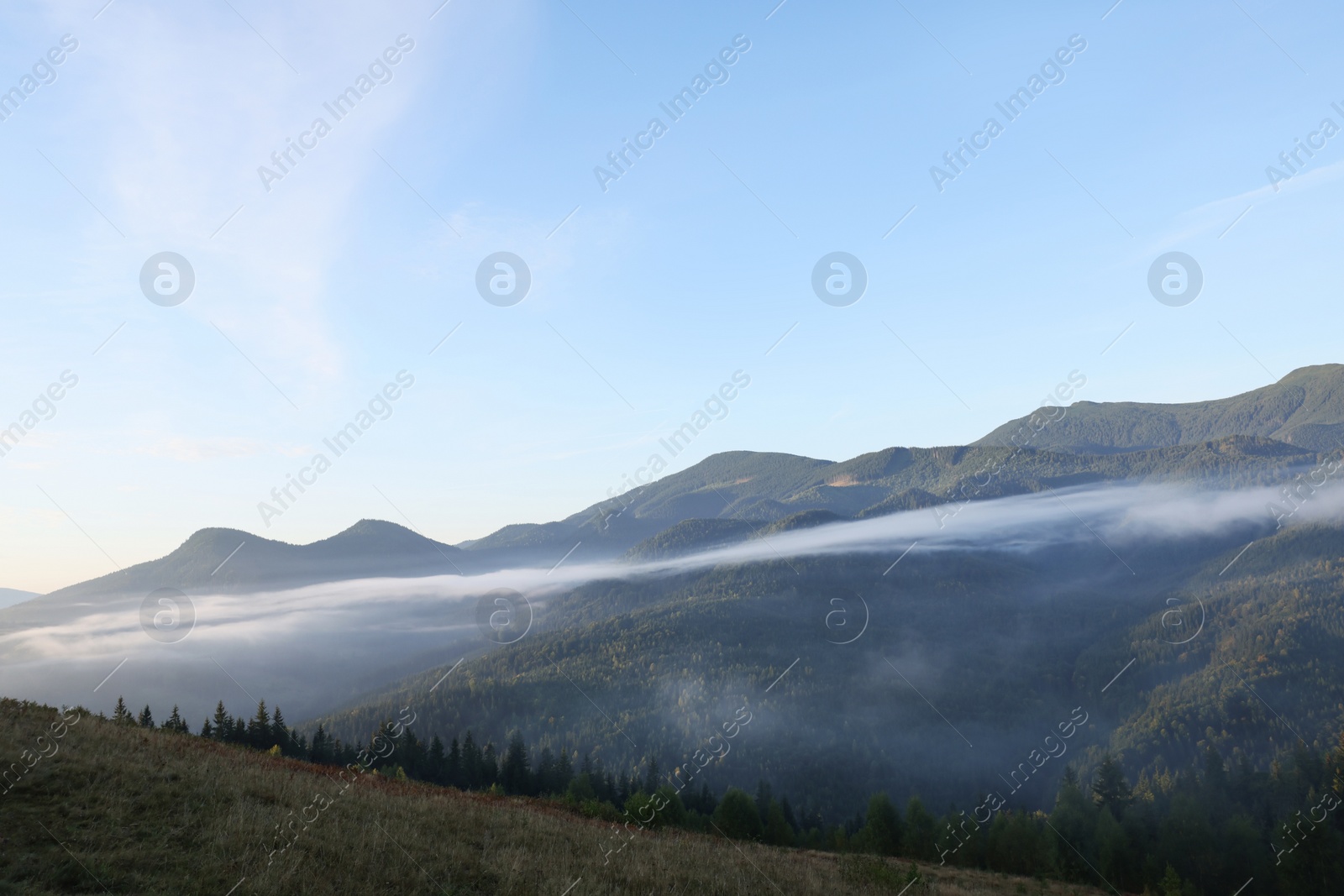 Photo of Picturesque view of mountain forest covered with fog