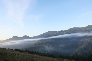 Photo of Picturesque view of mountain forest covered with fog