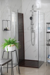 Bathroom interior with shower stall and houseplant. Idea for design