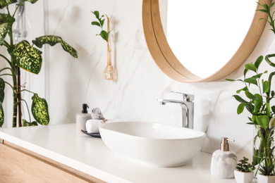 Stylish vessel sink and green plants in bathroom. Interior design element