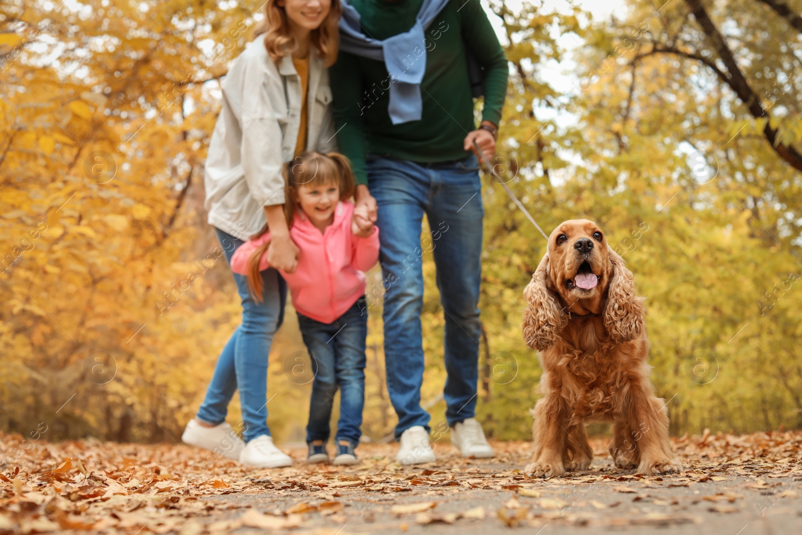 Photo of Happy family with child and dog in park. Autumn walk