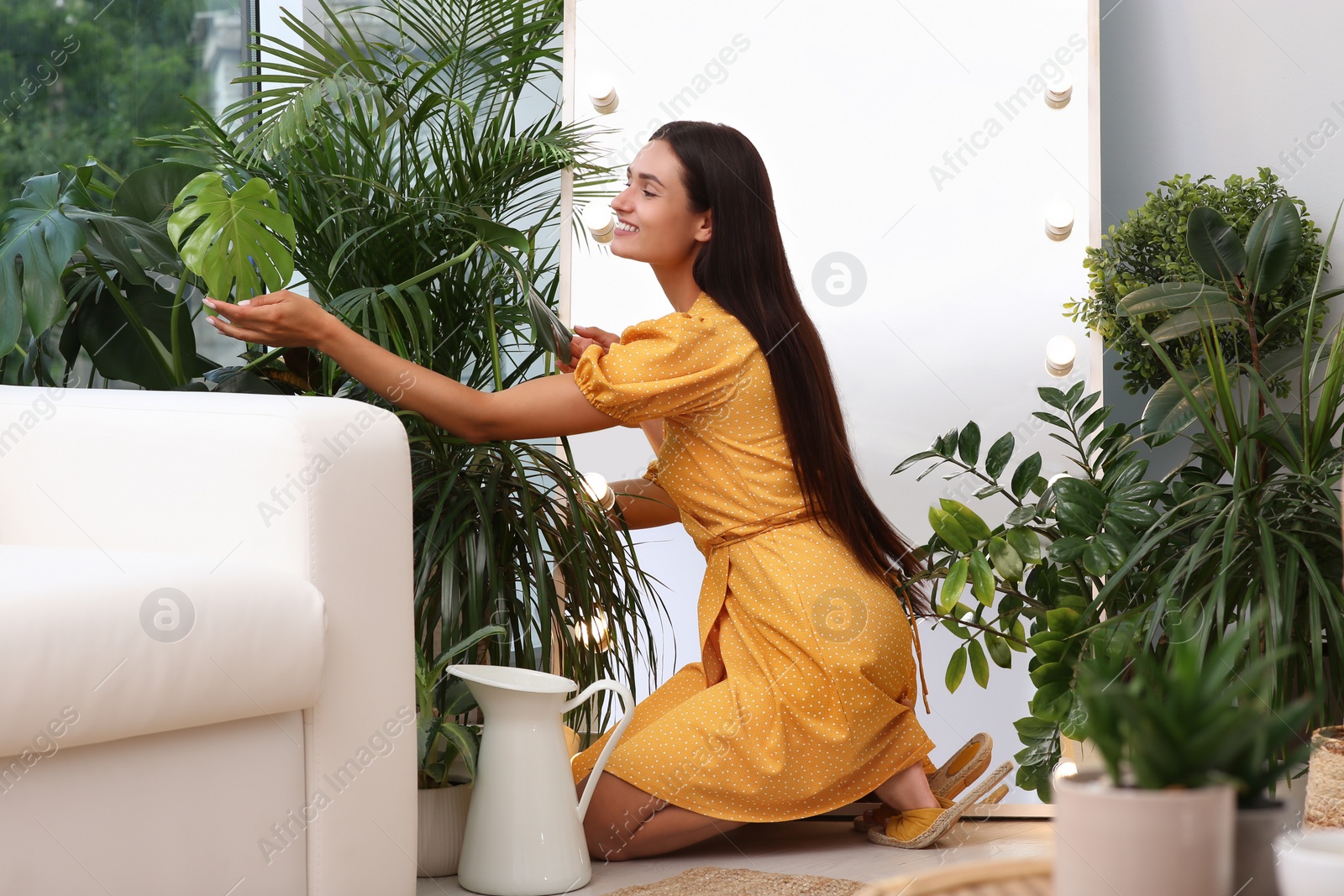 Photo of Woman taking care of houseplants indoors. Interior design