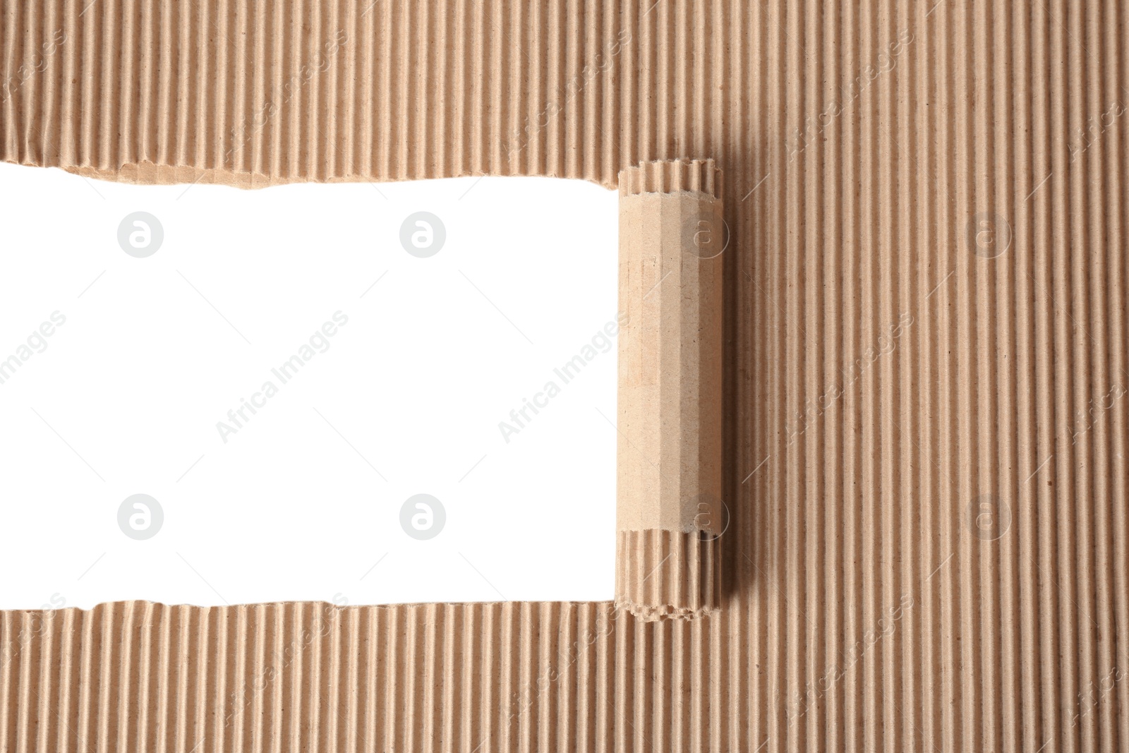 Photo of Ripped corrugated cardboard on white background. Recyclable material