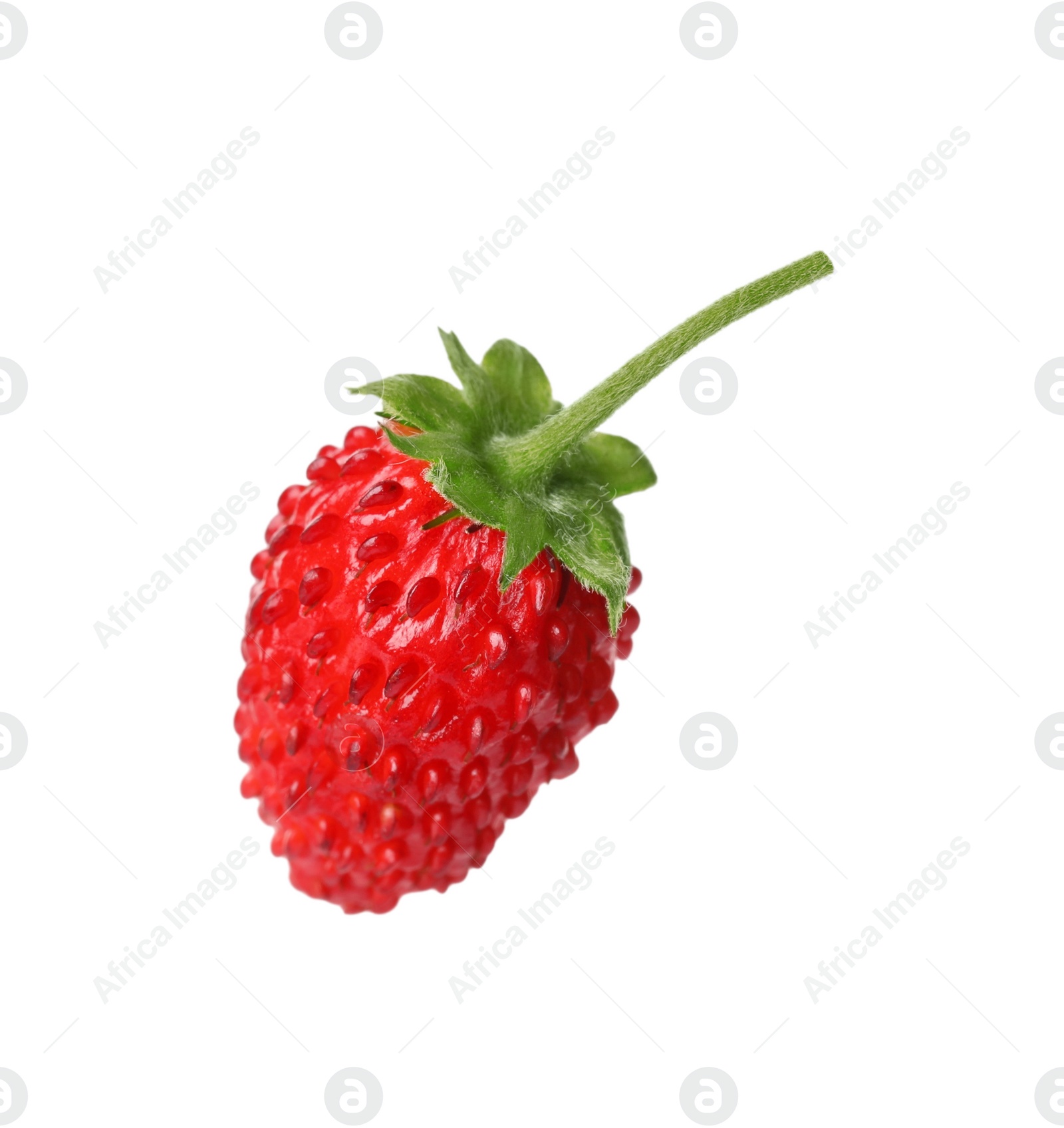 Photo of One ripe wild strawberry isolated on white