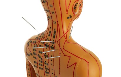 Photo of Acupuncture - alternative medicine. Human model with needles in back isolated on white