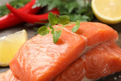 Photo of Fresh salmon and ingredients for marinade, closeup