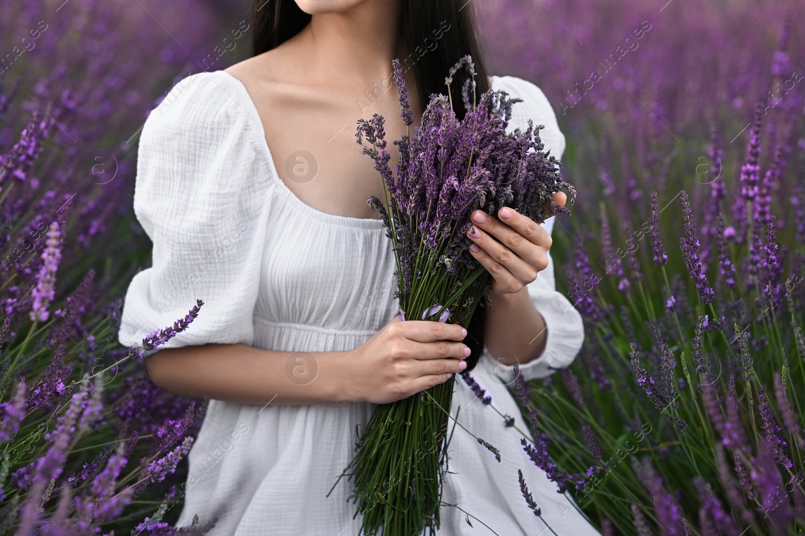 Photo of Woman with bouquet in lavender field, closeup