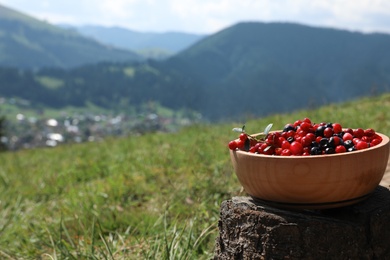 Bowl of fresh ripe berries on stump in mountains