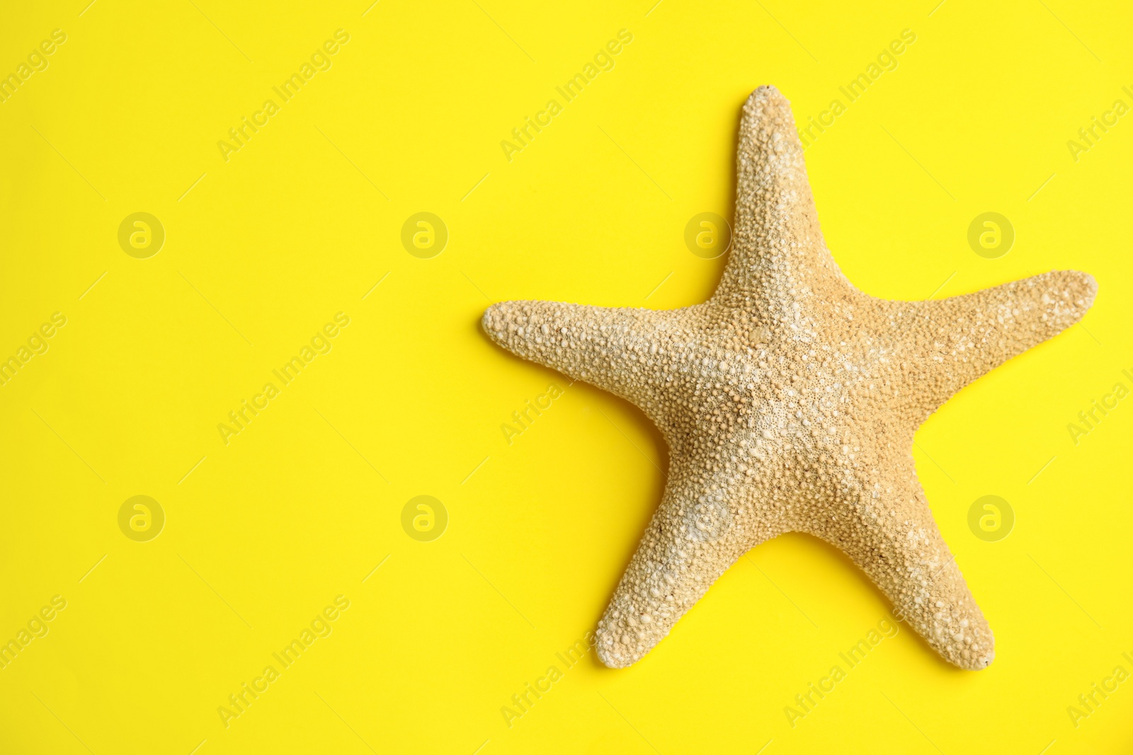 Photo of Beautiful sea star on yellow background, top view. Space for text