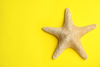 Beautiful sea star on yellow background, top view. Space for text