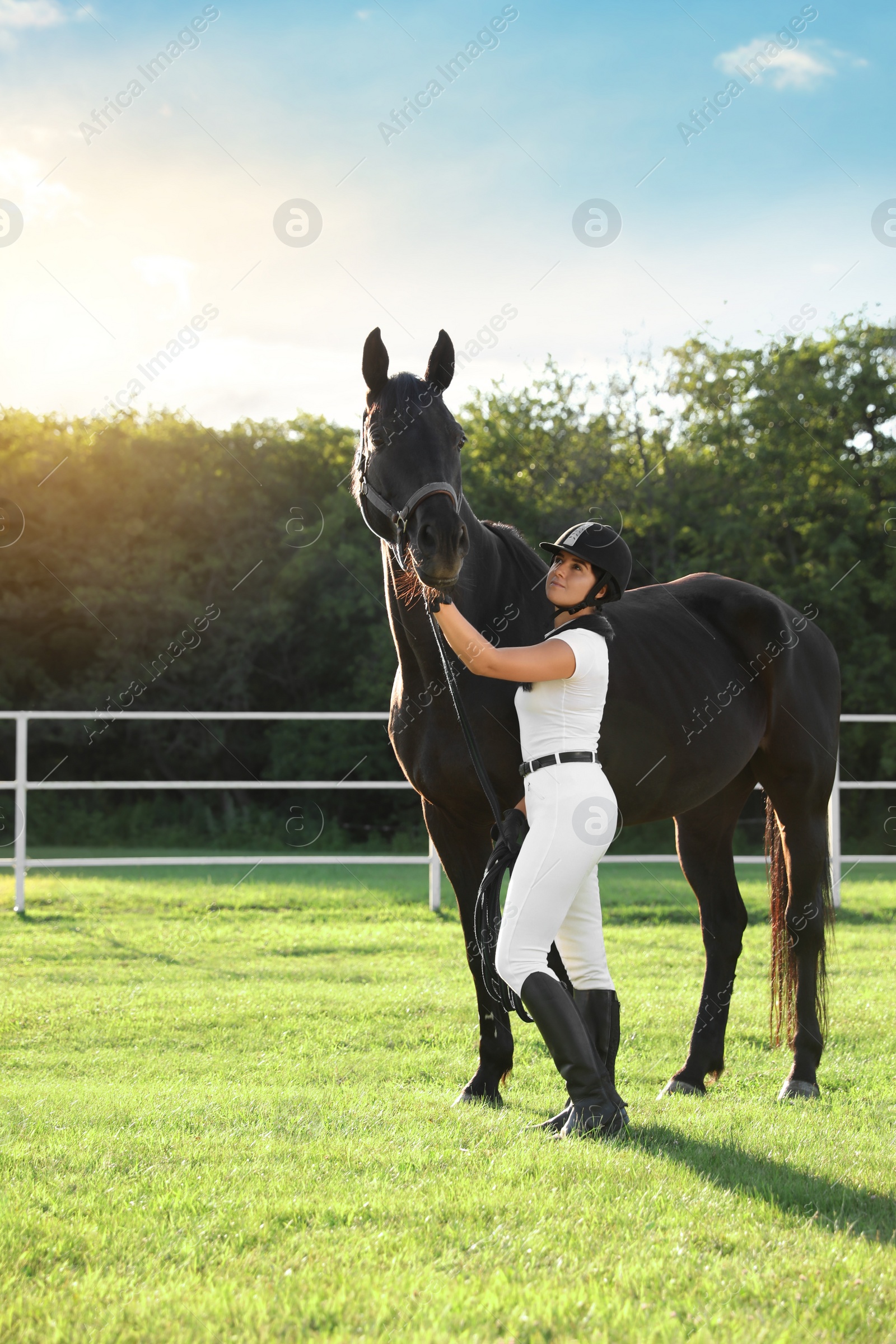 Photo of Young woman in horse riding suit and her beautiful pet outdoors on sunny day