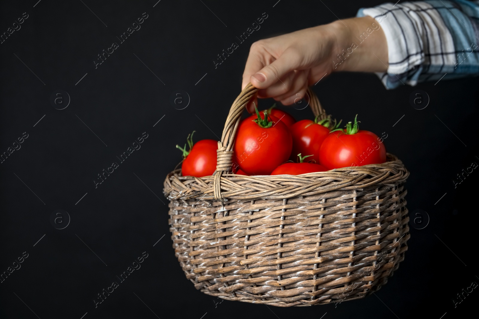 Photo of Woman with basket of ripe tomatoes on black background, closeup