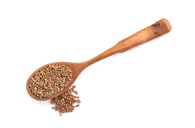 Dried coriander seeds with wooden spoon on white background, top view