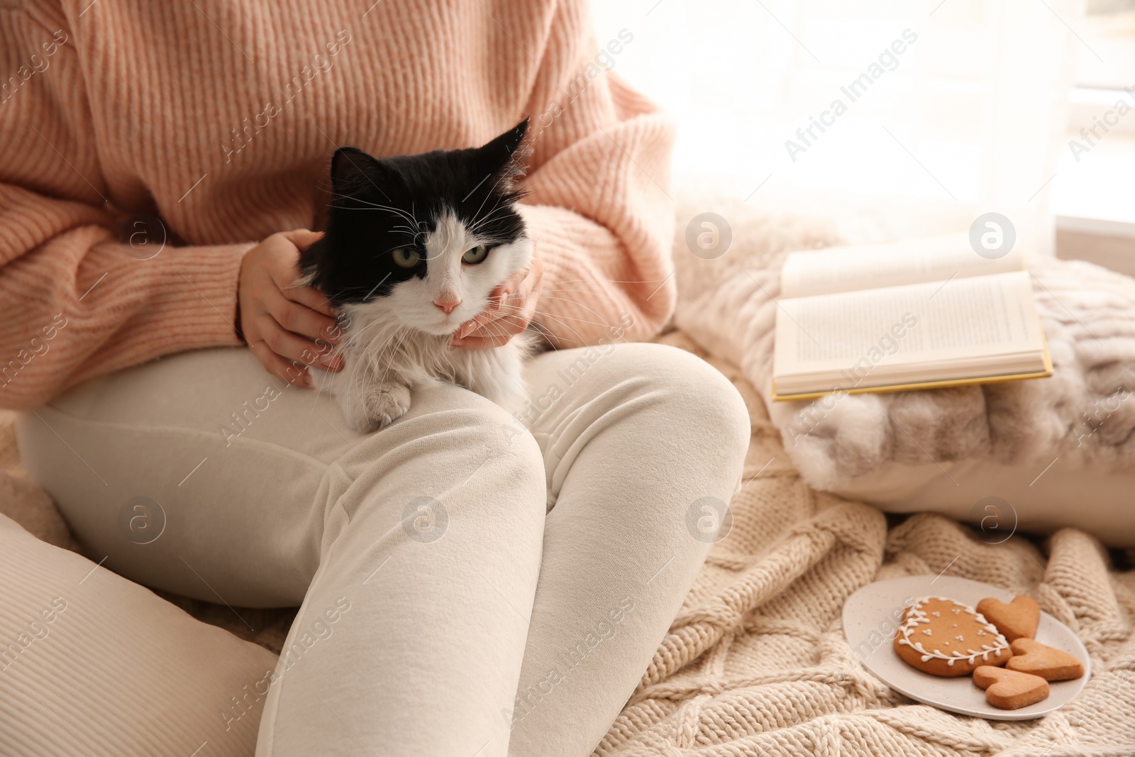 Photo of Woman stroking adorable cat on bed, closeup