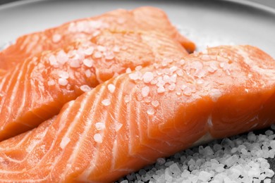 Fresh raw salmon with salt on black plate, closeup