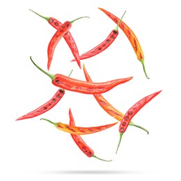 Grilled chili peppers in air on white background