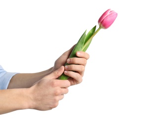 Man holding beautiful spring tulip on light background, closeup. International Women's Day