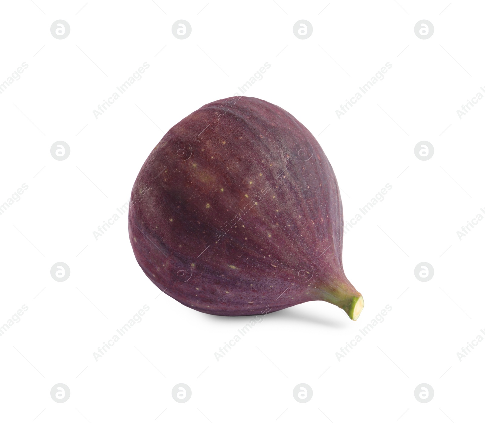 Photo of Whole ripe fresh fig isolated on white