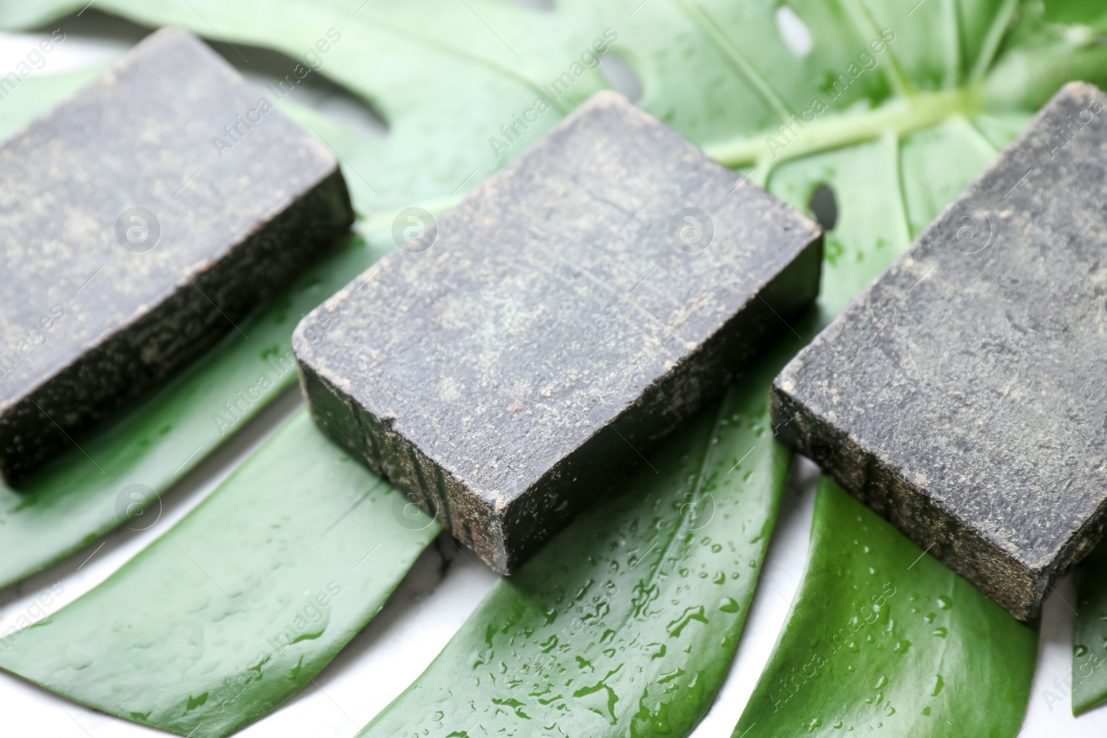 Photo of Natural tar soap and wet green leaf, closeup