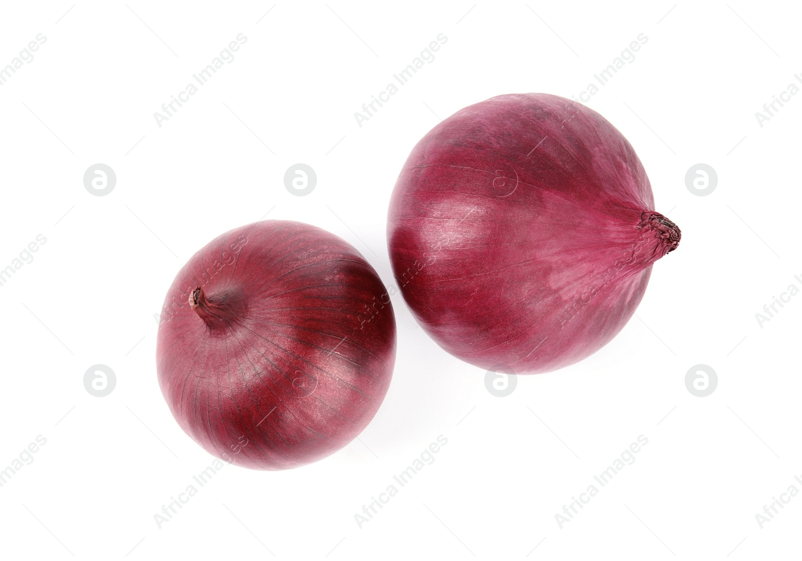 Photo of Fresh whole red onions on white background, top view