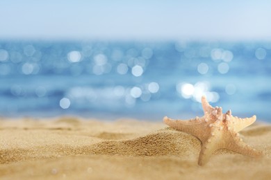 Image of Starfish on sandy beach near sea, space for text