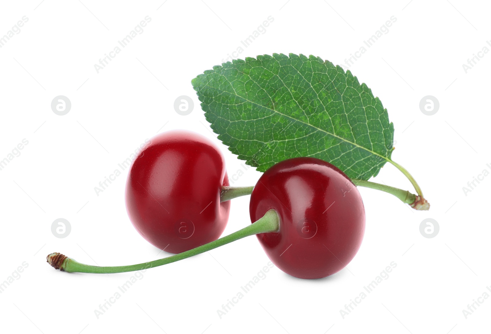 Photo of Sweet red juicy cherries isolated on white