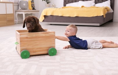 Photo of Little boy playing with adorable chocolate labrador retriever at home
