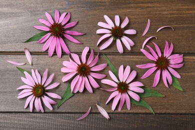 Photo of Beautiful blooming echinacea flowers, petals and leaves on wooden table, flat lay