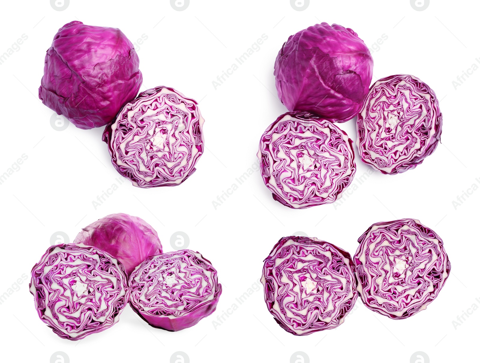 Image of Collage with whole and cut fresh red cabbages on white background