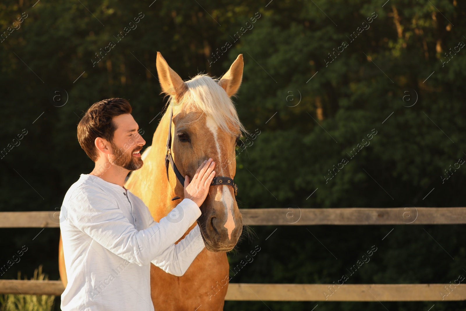 Photo of Handsome man with adorable horse outdoors, space for text. Lovely domesticated pet