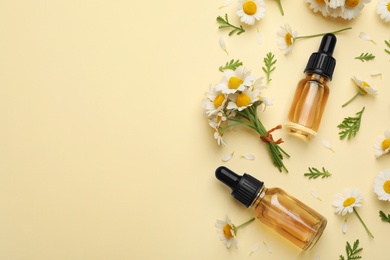 Flat lay composition with chamomile flowers and cosmetic bottles of essential oil on color background. Space for text