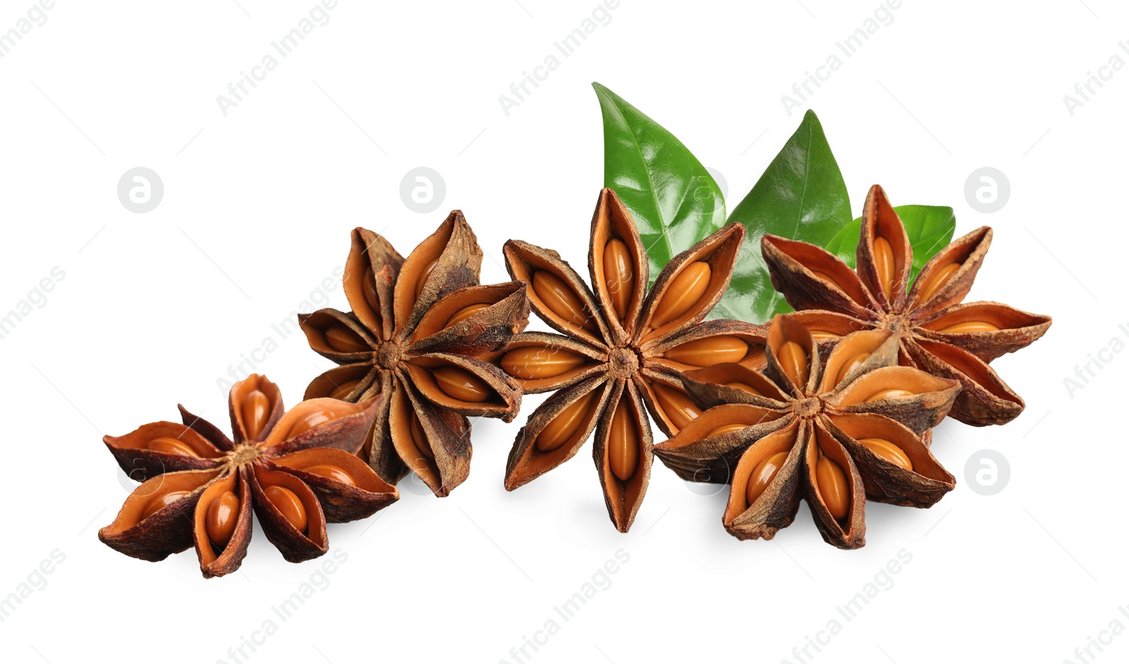 Image of Aromatic dry anise stars and green leaves on white background