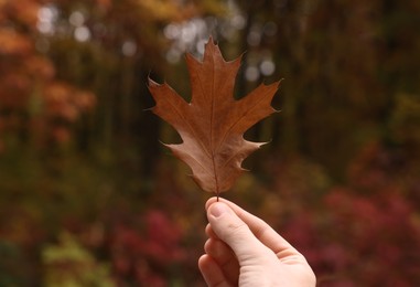 Woman holding beautiful leaf outdoors on autumn day, closeup