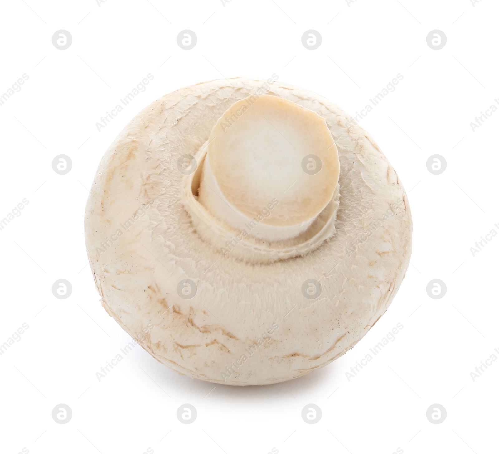 Photo of Fresh raw champignon mushroom on white background